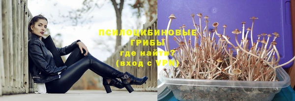 прущие крисы Арсеньев
