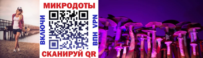 Галлюциногенные грибы Magic Shrooms  мориарти официальный сайт  Покровск 